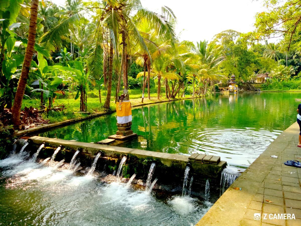 Villa Amara Giri I Ubud Exterior foto