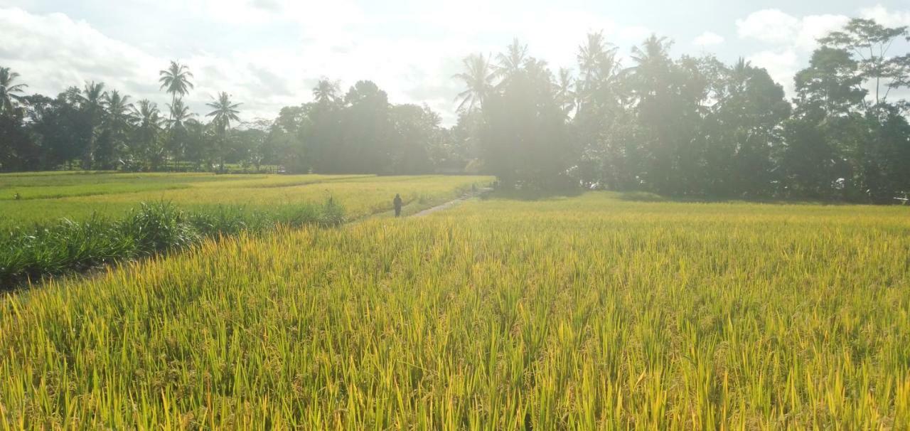 Villa Amara Giri I Ubud Exterior foto